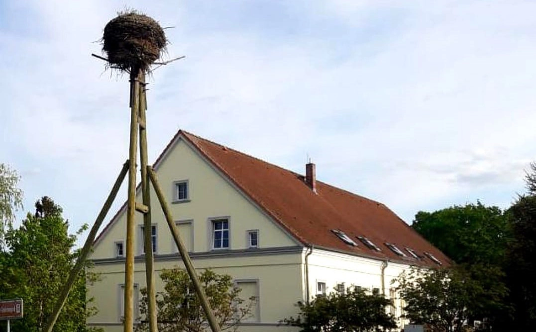 Storchennest Storchennest