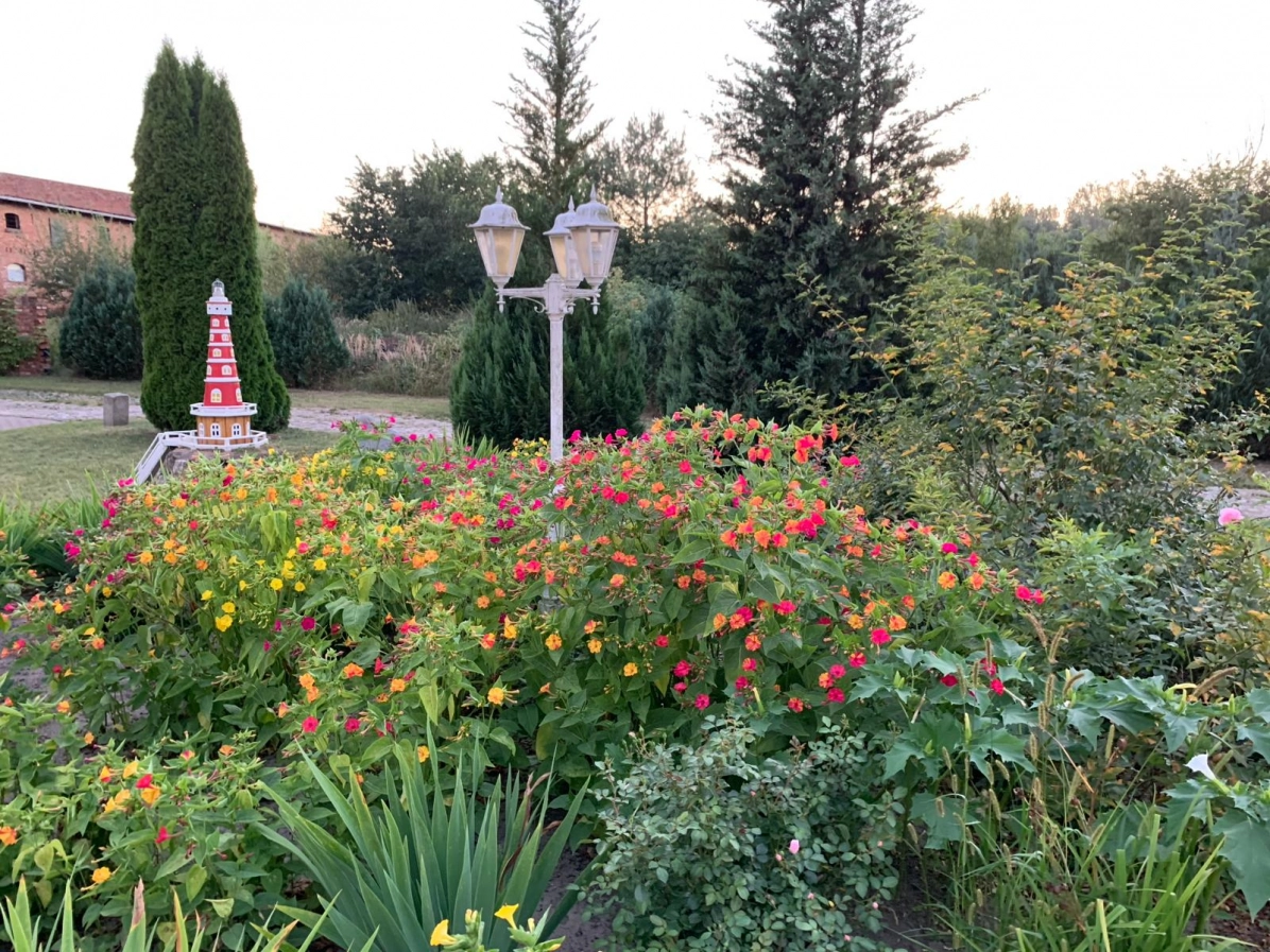 Der Garten Der Garten