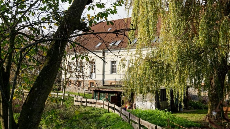 Eingewachsenes Grundstück Eingewachsenes Grundstück