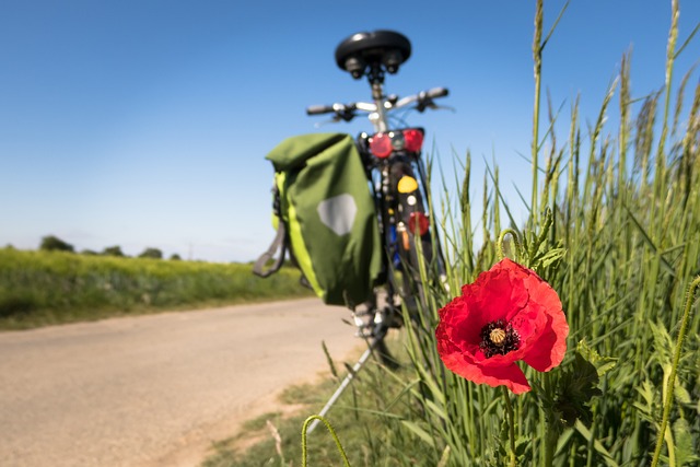 Fahrradnutzung - Radwege Fahrradnutzung - Radwege